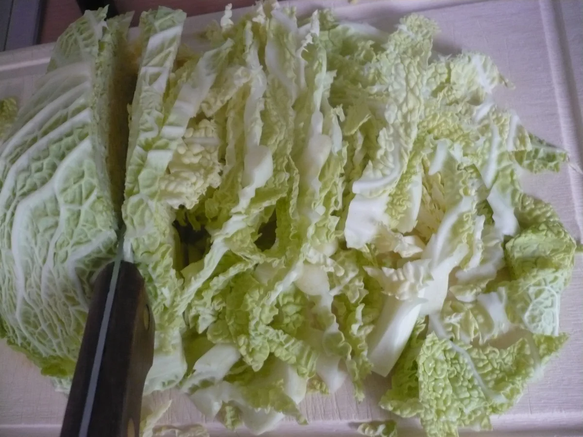 Kartoffel - Wirsing - Auflauf - Rezept - Bild Nr. 15417