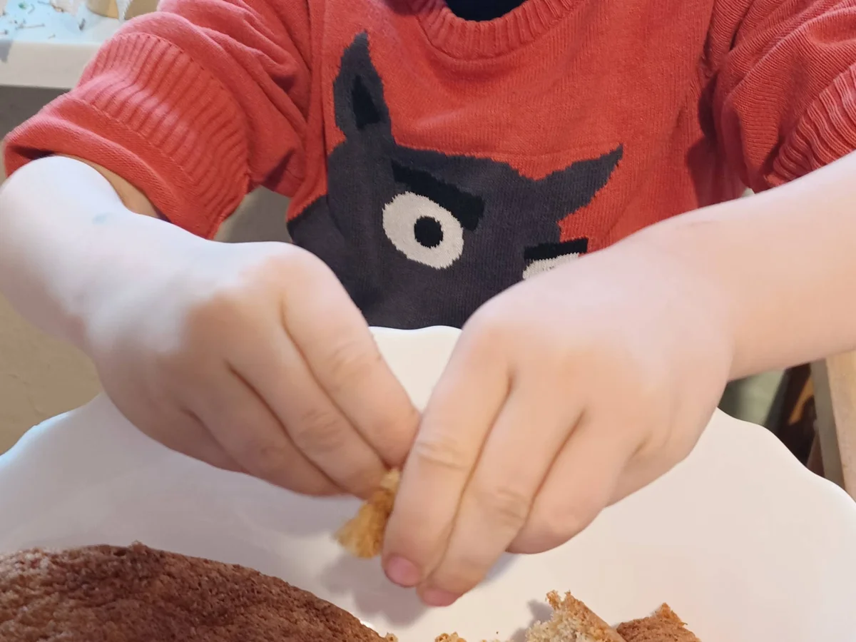 Nusstorte - Rezept - Bild Nr. 15424