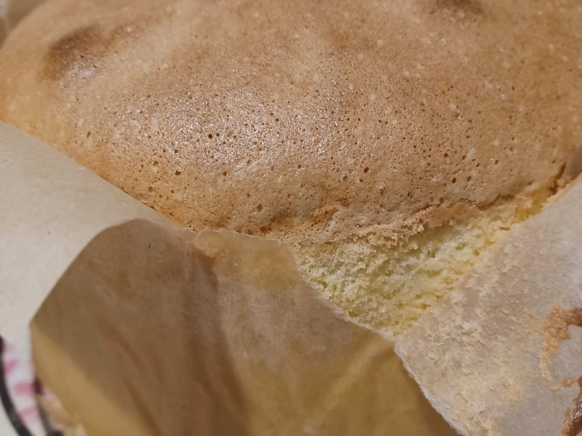 Schwammkuchen zur Back Challenge 02/2022 - Rezept - Bild Nr. 15431