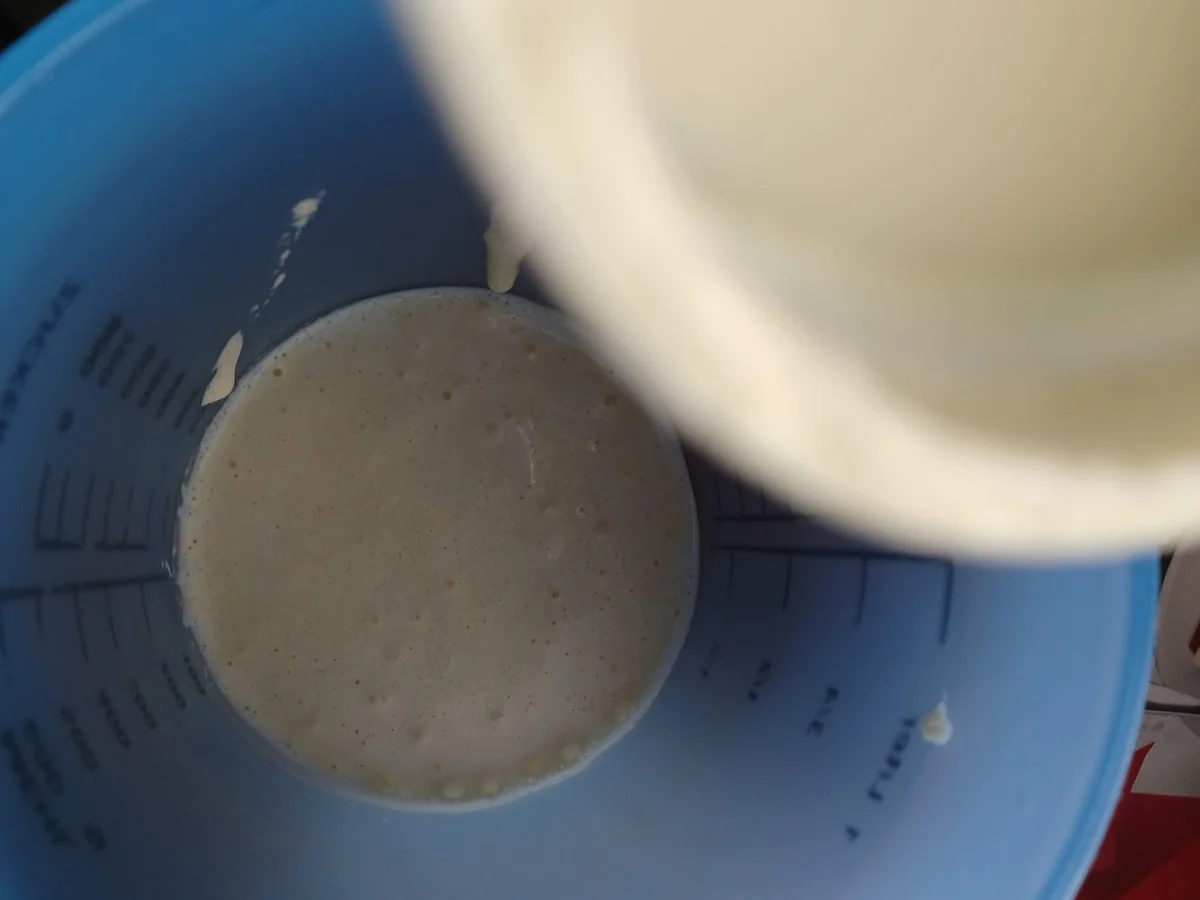 Rezept: Mascarponecreme - Dessert Bild Nr. 15430 Mascarponecreme - Dessert - Rezept - Bild Nr. 15430