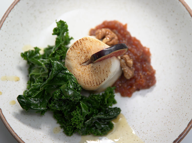 Grünkohlsalat, kandierte Walnüsse, flambierter Ziegenkäse und ... Grünkohlsalat, kandierte Walnüsse, flambierter Ziegenkäse und ...