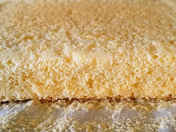 Schwammkuchen zur Back Challenge 02/2022 - Rezept - Bild Nr. 15448