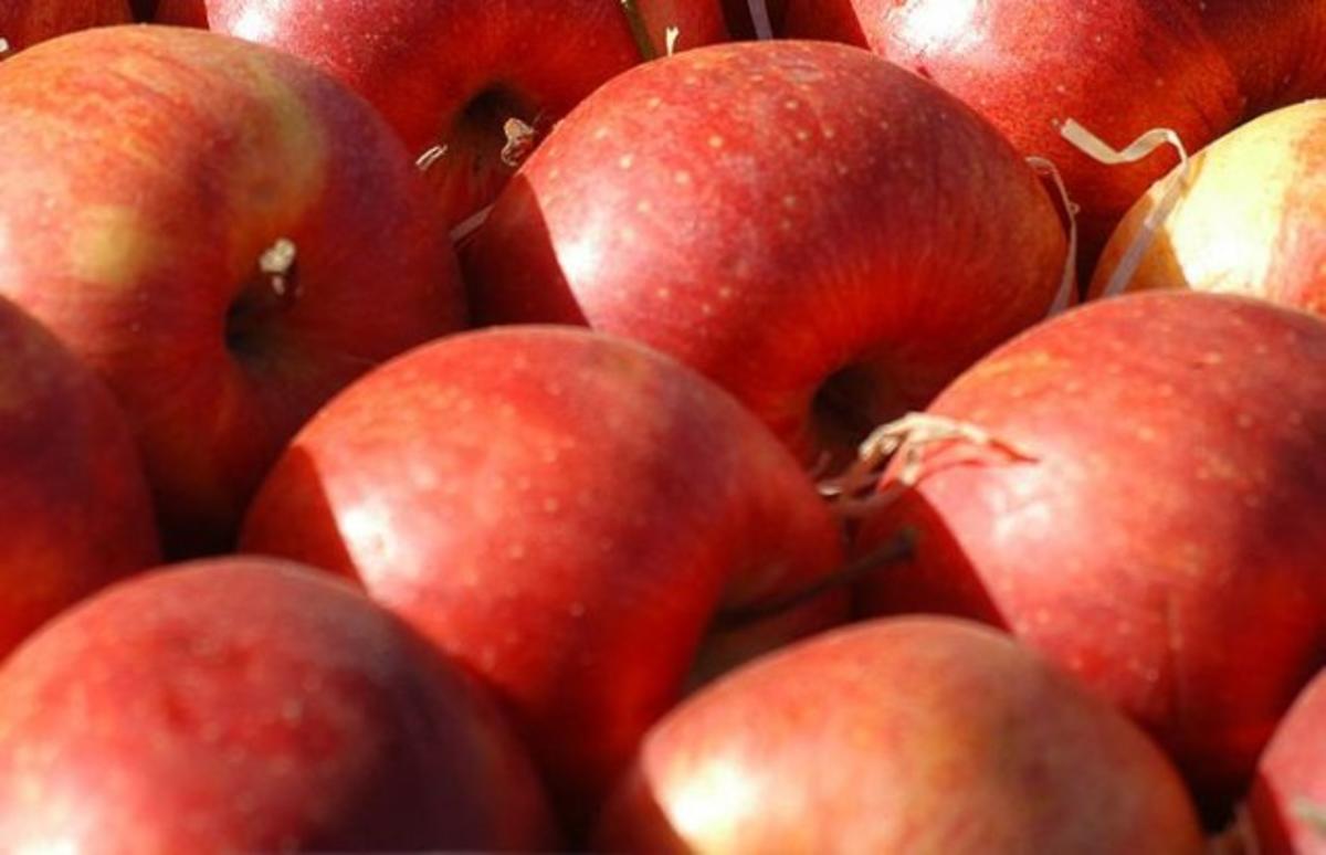 Bratapfel mit Marzipanfüllung - Rezept - kochbar.de