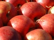 Bratapfel mit Marzipanfüllung - Rezept