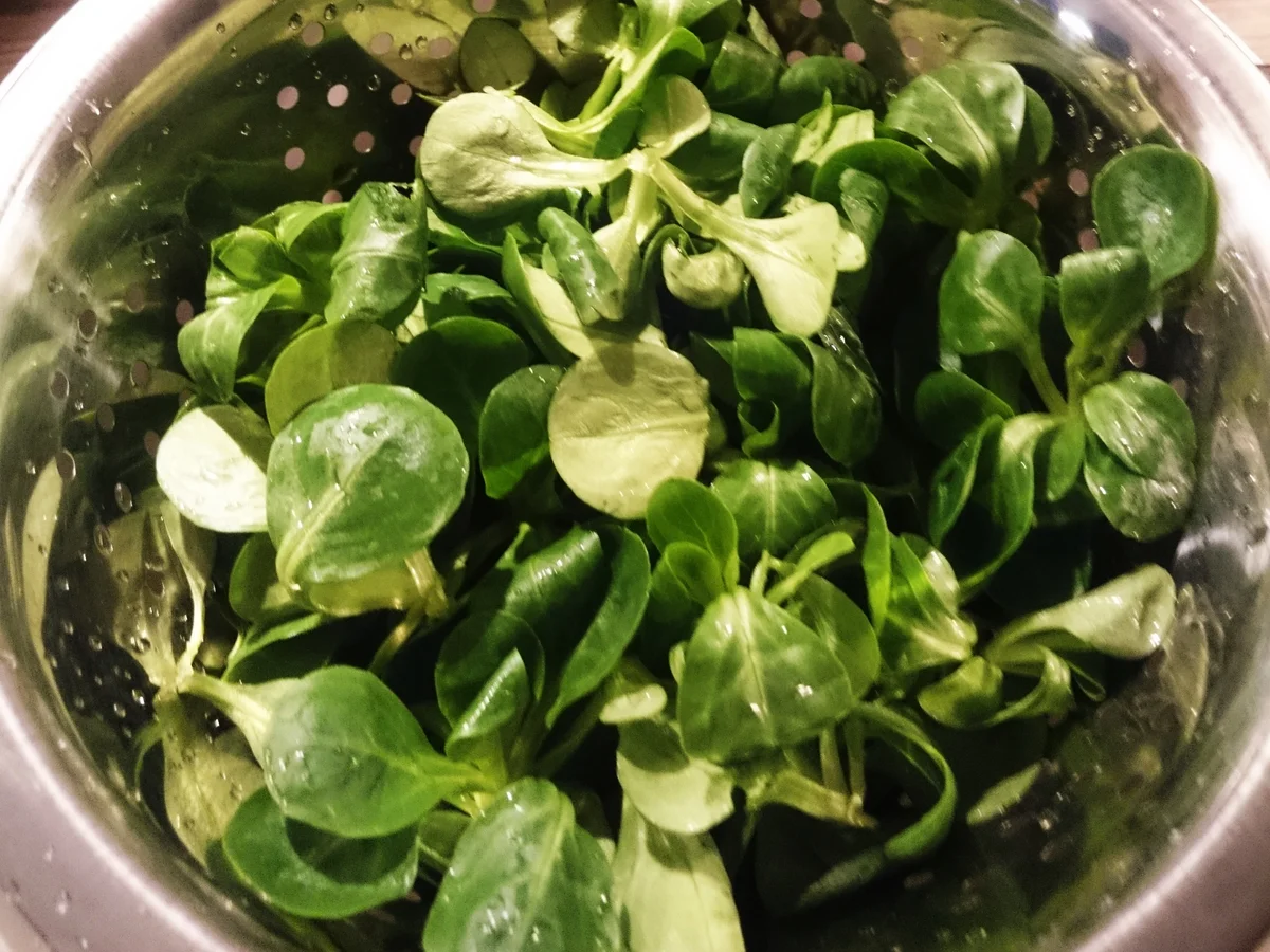 Flammkuchen mit Feldsalat - Rezept - Bild Nr. 15443