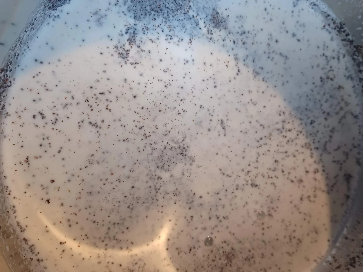 Mohnkuchen - Rezept - Bild Nr. 15443