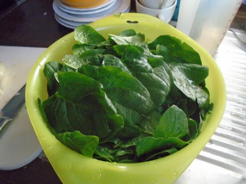 Alaska Seelachsfilet mit Rahm-Blattspinat und Möhren-Kartoffel-Stampf - Rezept - Bild Nr. 5