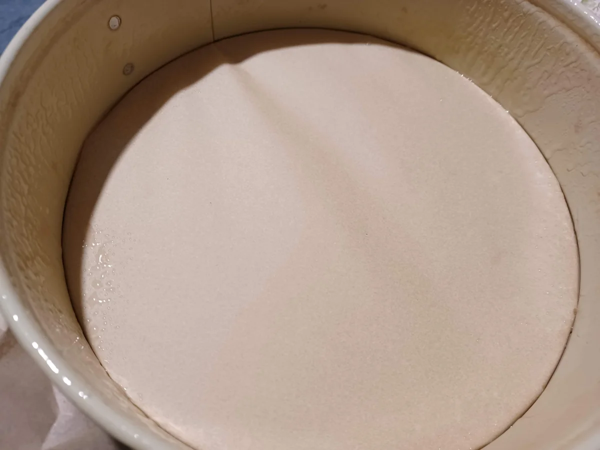 Rezept: Quark - Reis - Torte zur kochbar Challenge Februar 2022 Bild Nr. 15456 Quark - Reis - Torte zur kochbar Challenge Februar 2022 - Rezept - Bild Nr. 15456