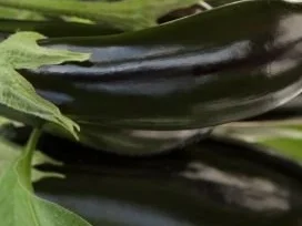 Gefüllte Aubergine - Rezept