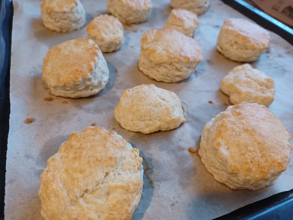 Scones kulinarische Weltreise 02/2022 - Rezept - Bild Nr. 15452