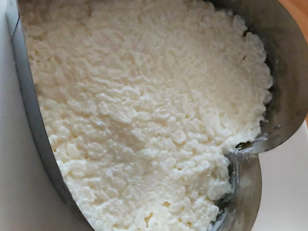 Reis - Joghurt zur kochbar Challenge Februar 2022 - Rezept - Bild Nr. 15452