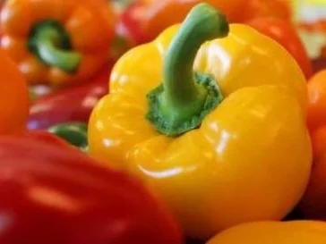 Gefüllte Paprika - Rezept