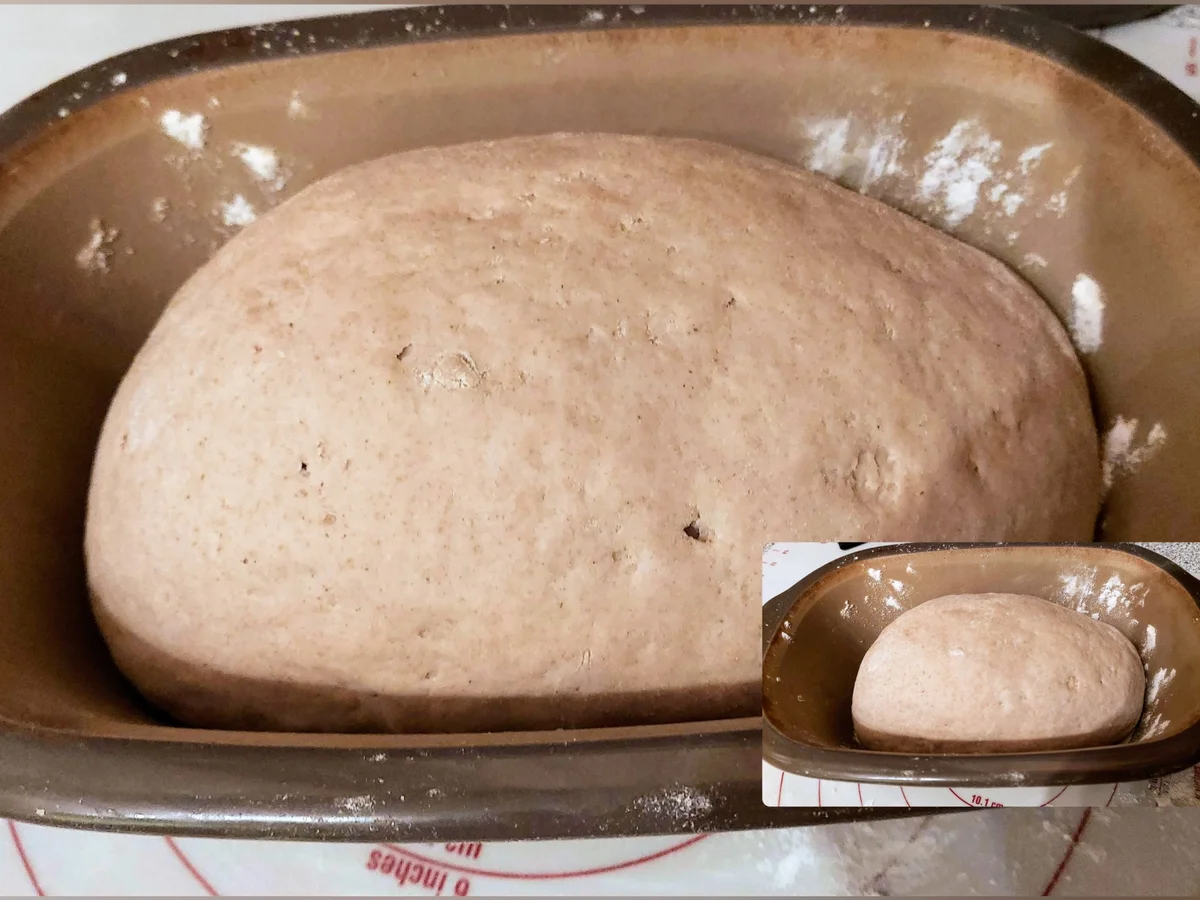 Rezept: Krüstchenbrot Bild Nr. 15465 Krüstchenbrot - Rezept - Bild Nr. 15465