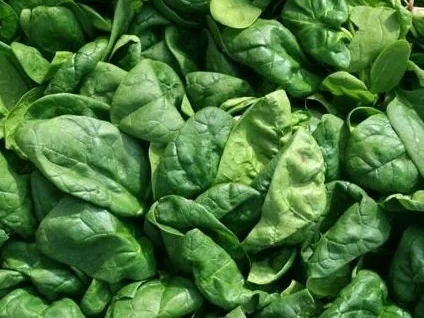 Rezept: Spinat-Hackbraten Spinat-Hackbraten - Rezept