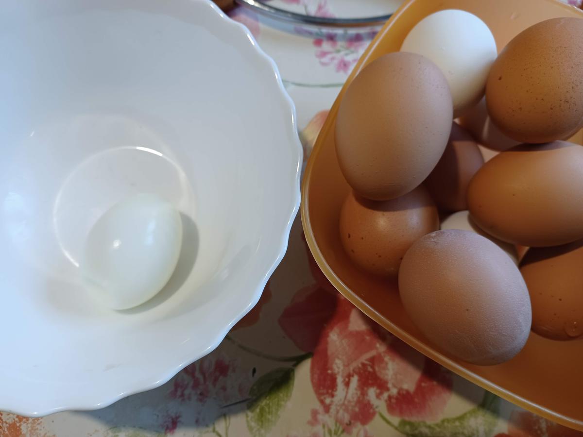 Schottische Eier kulinarische Weltreise 02.2022 - Rezept - Bild Nr. 15451