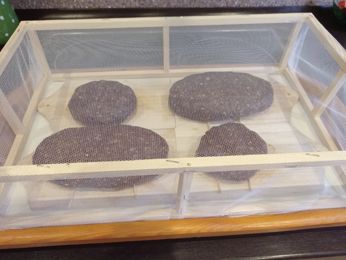 Rezept: Brettsalami Bild Nr. 15453 Brettsalami - Rezept - Bild Nr. 15453