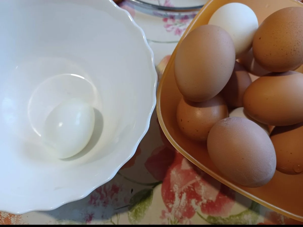 Eiersalat - Rezept - Bild Nr. 15450