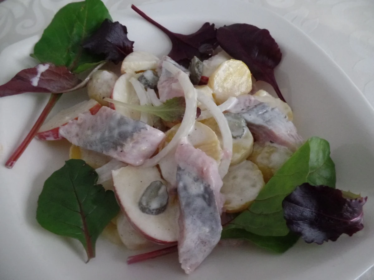 Matjes-Kartoffelsalat - Rezept - Bild Nr. 15449