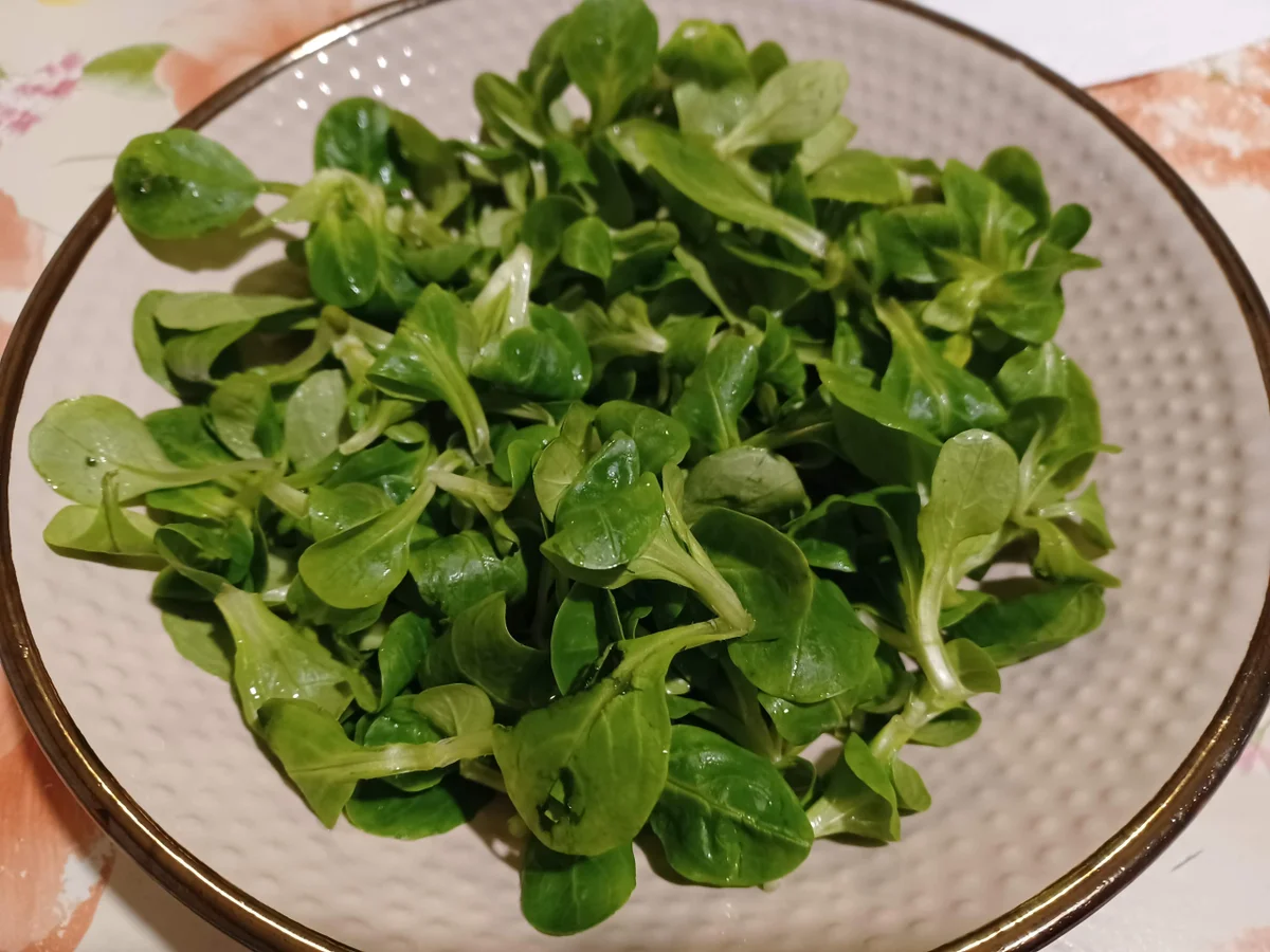 Bunter Salat - Rezept - Bild Nr. 15479