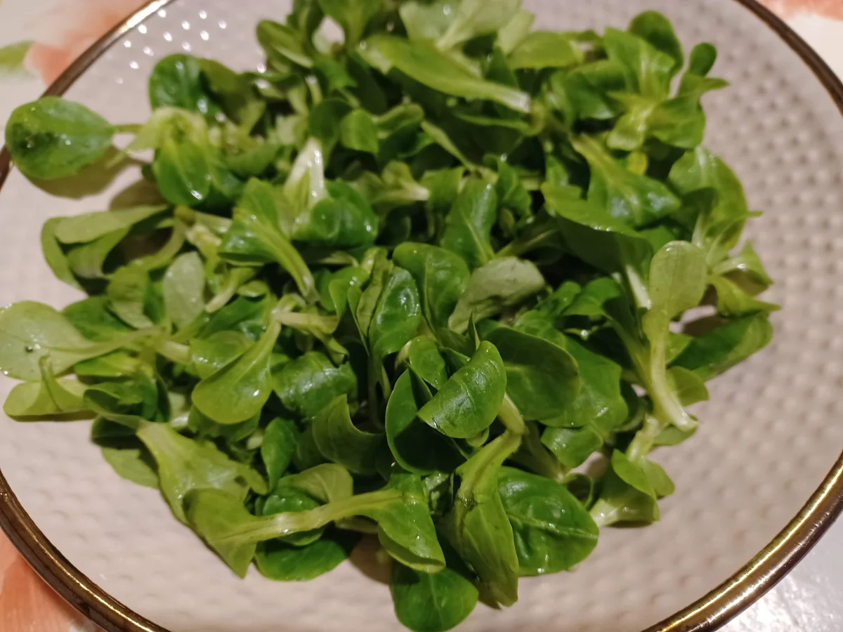 Bunter Salat - Rezept - Bild Nr. 15480