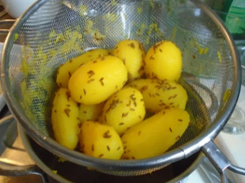 Paprika-Spinat-Gemüse mit Spiegelei und Kümmel-Drillingen - Rezept - Bild Nr. 18