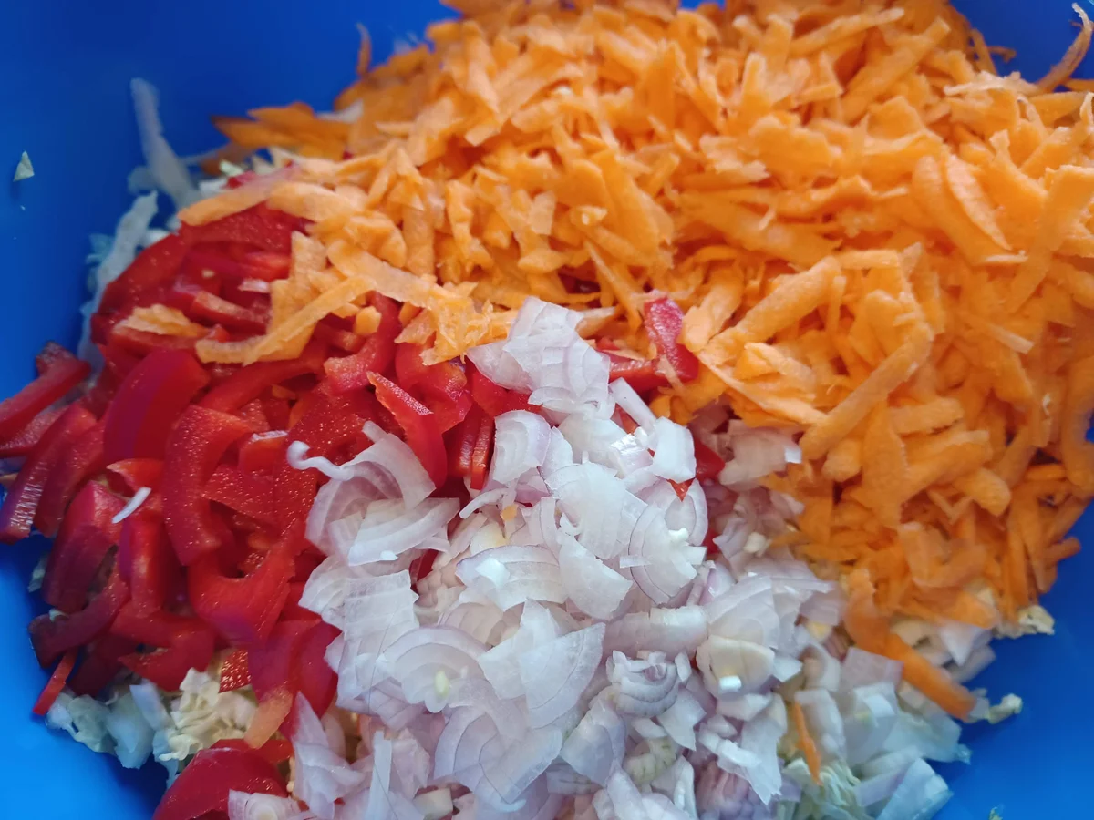 Rezept: Chinakohl - Salat Bild Nr. 15522 Chinakohl - Salat - Rezept - Bild Nr. 15522