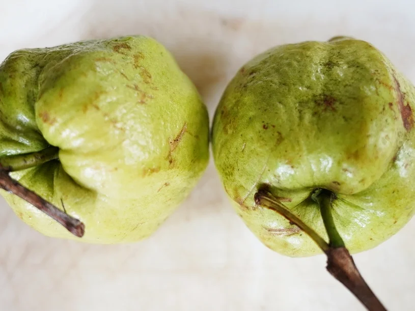 Guave-Mascarpone-Kuchen - Rezept - Bild Nr. 15531