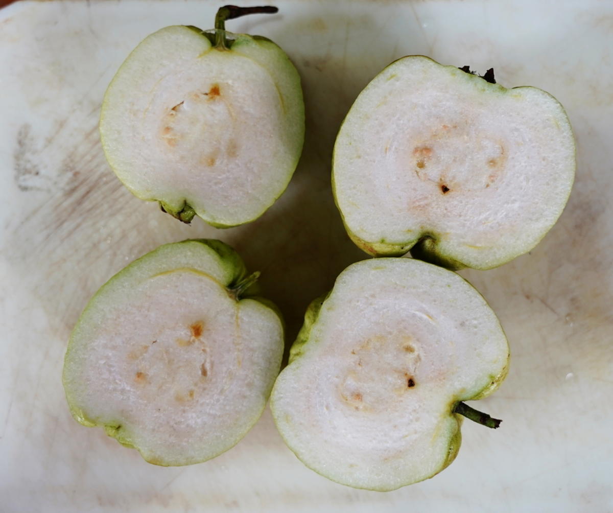 Guave-Mascarpone-Kuchen - Rezept - Bild Nr. 15532