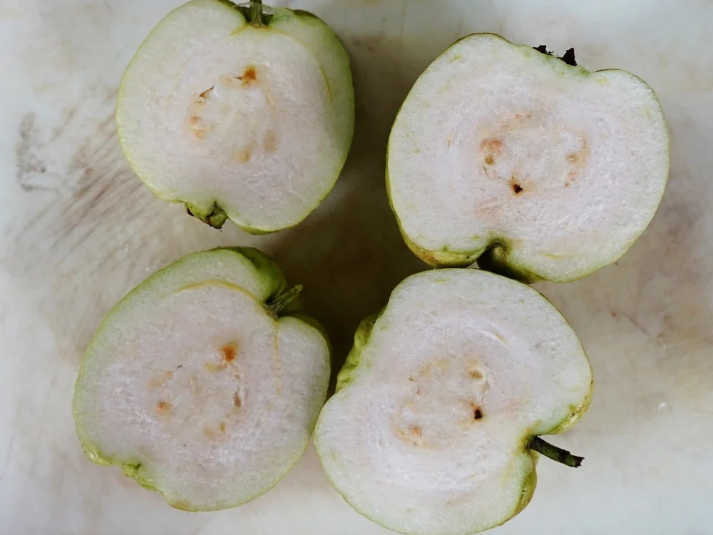 Guave-Mascarpone-Kuchen - Rezept - Bild Nr. 15532