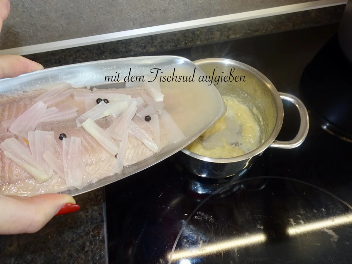 Pochiertes Welsfilet in Meerrettich - Sahnesauce - Rezept - Bild Nr. 15565
