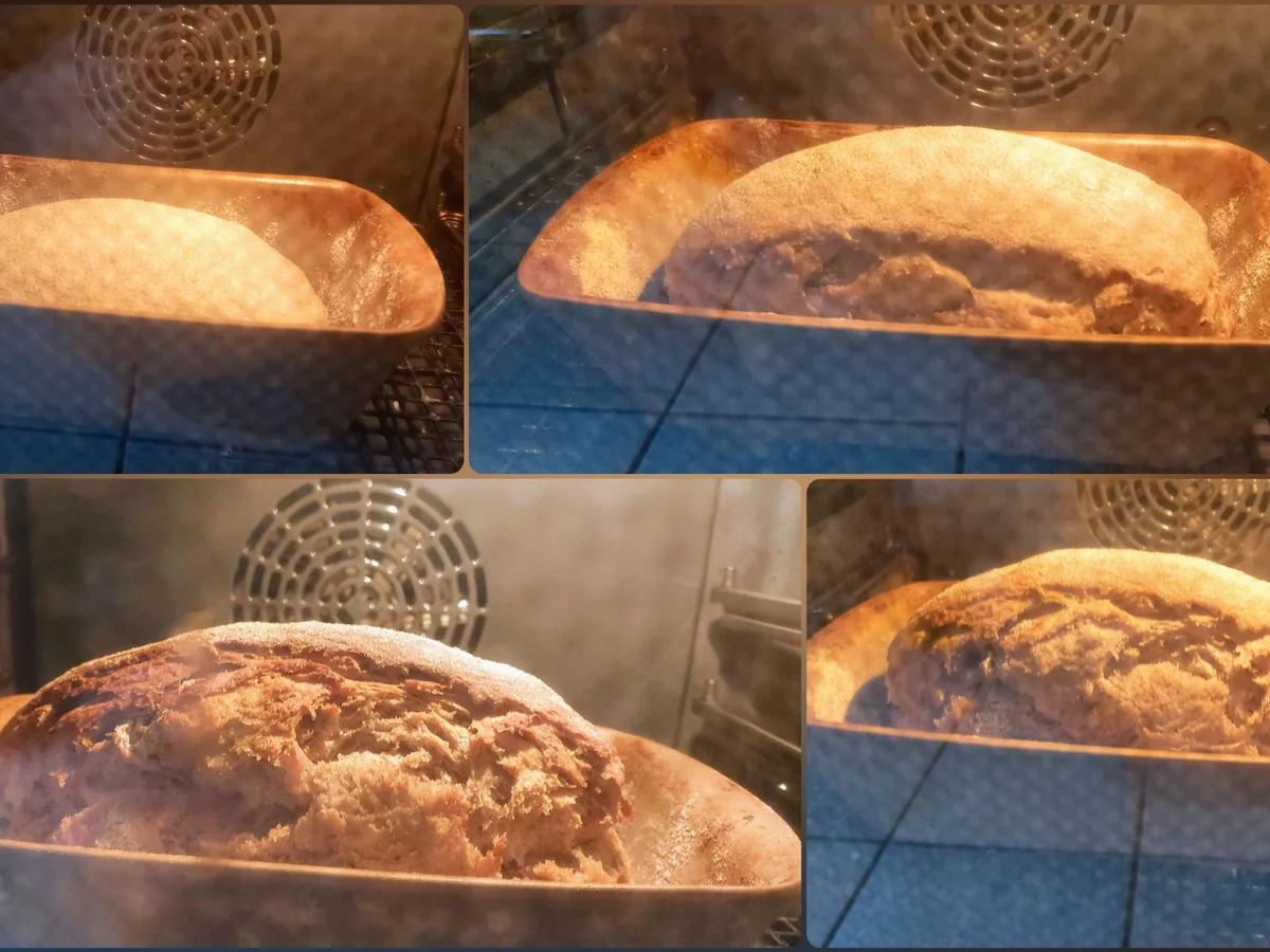 Rezept: Altbrot Bild Nr. 16 Altbrot - Rezept - Bild Nr. 16