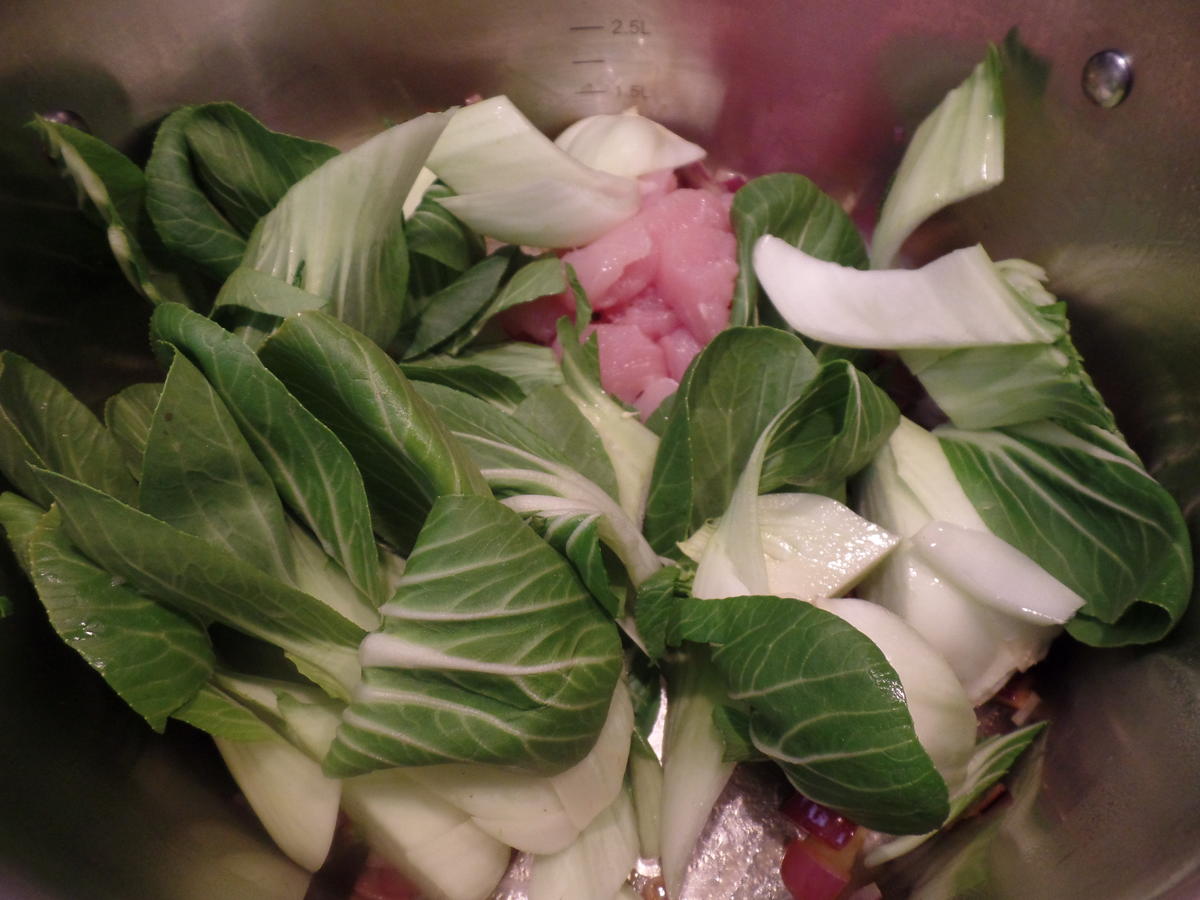 Curry-Suppe mit Pak Choi,Ananas und Hähnchen - Rezept - Bild Nr. 15557