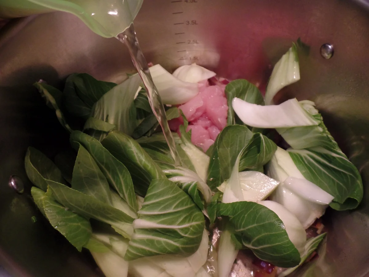 Rezept: Curry-Suppe mit Pak Choi,Ananas und Hähnchen Bild Nr. 15558 Curry-Suppe mit Pak Choi,Ananas und Hähnchen - Rezept - Bild Nr. 15558