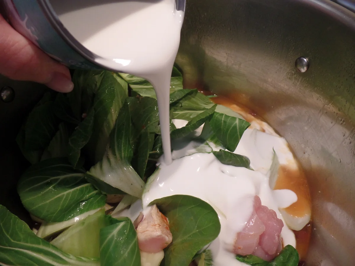 Rezept: Curry-Suppe mit Pak Choi,Ananas und Hähnchen Bild Nr. 15559 Curry-Suppe mit Pak Choi,Ananas und Hähnchen - Rezept - Bild Nr. 15559