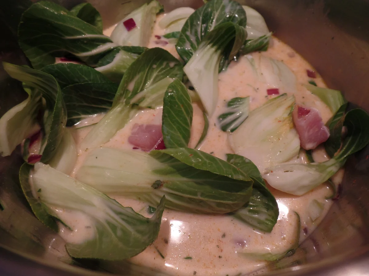 Rezept: Curry-Suppe mit Pak Choi,Ananas und Hähnchen Bild Nr. 15560 Curry-Suppe mit Pak Choi,Ananas und Hähnchen - Rezept - Bild Nr. 15560