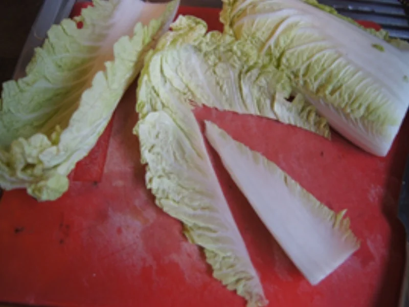 Geschmortes Rindfleisch mit Spätzle und Chinakohlsalat - Rezept - Bild Nr. 15564