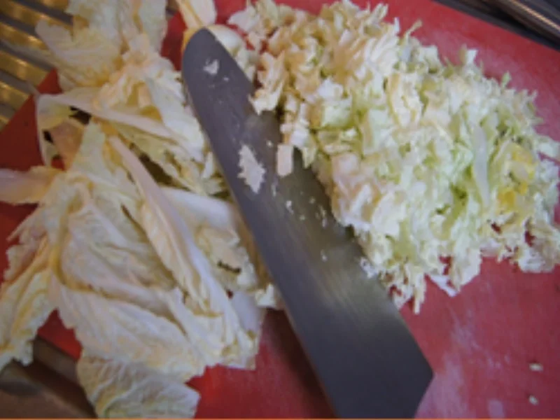 Geschmortes Rindfleisch mit Spätzle und Chinakohlsalat - Rezept - Bild Nr. 15565