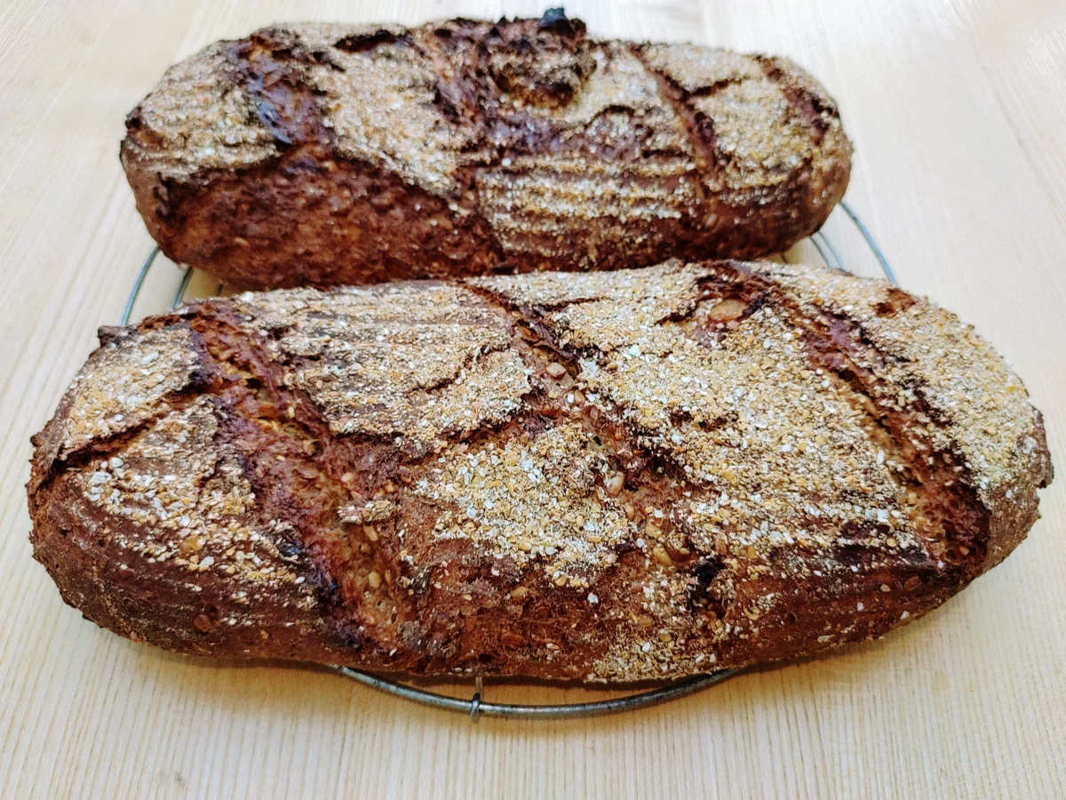 Roggenmischbrot - Rezept - Bild Nr. 15559