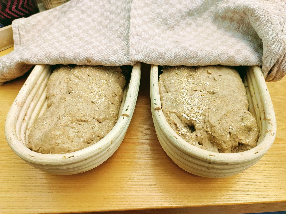 Roggenmischbrot - Rezept - Bild Nr. 15576