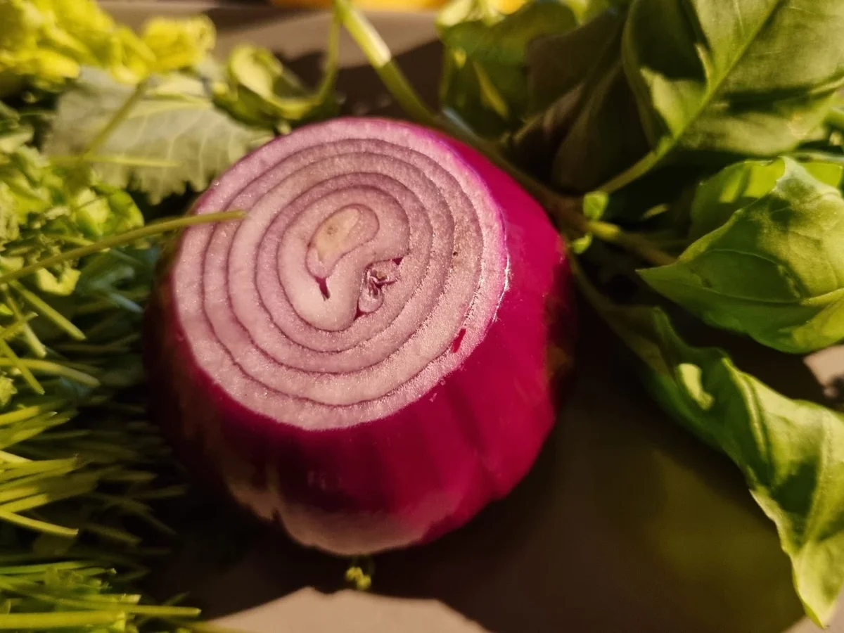 Poulardenbrust mit Frühlingsgemüse - Rezept - Bild Nr. 15560