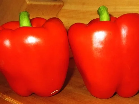 Rezept: Meine kleine Salatbar für Frühling und Sommer Bild Nr. 15566 Meine kleine Salatbar für Frühling und Sommer - Rezept - Bild Nr. 15566