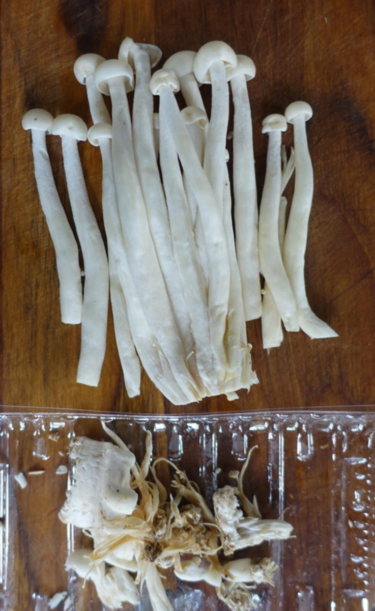 Pilzragout mit selbstgemachten Spätzlen und Brokkoli - Rezept - Bild Nr. 15560