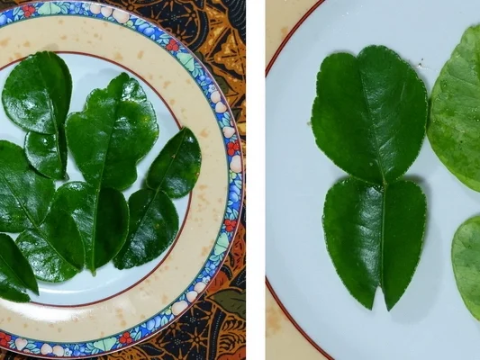 Rezept: Süß-sauer-scharfe Gemüsesuppe – Sup syuran ala Madura Bild Nr. 15560 Süß-sauer-scharfe Gemüsesuppe – Sup syuran ala Madura - Rezept - Bild Nr. 15560