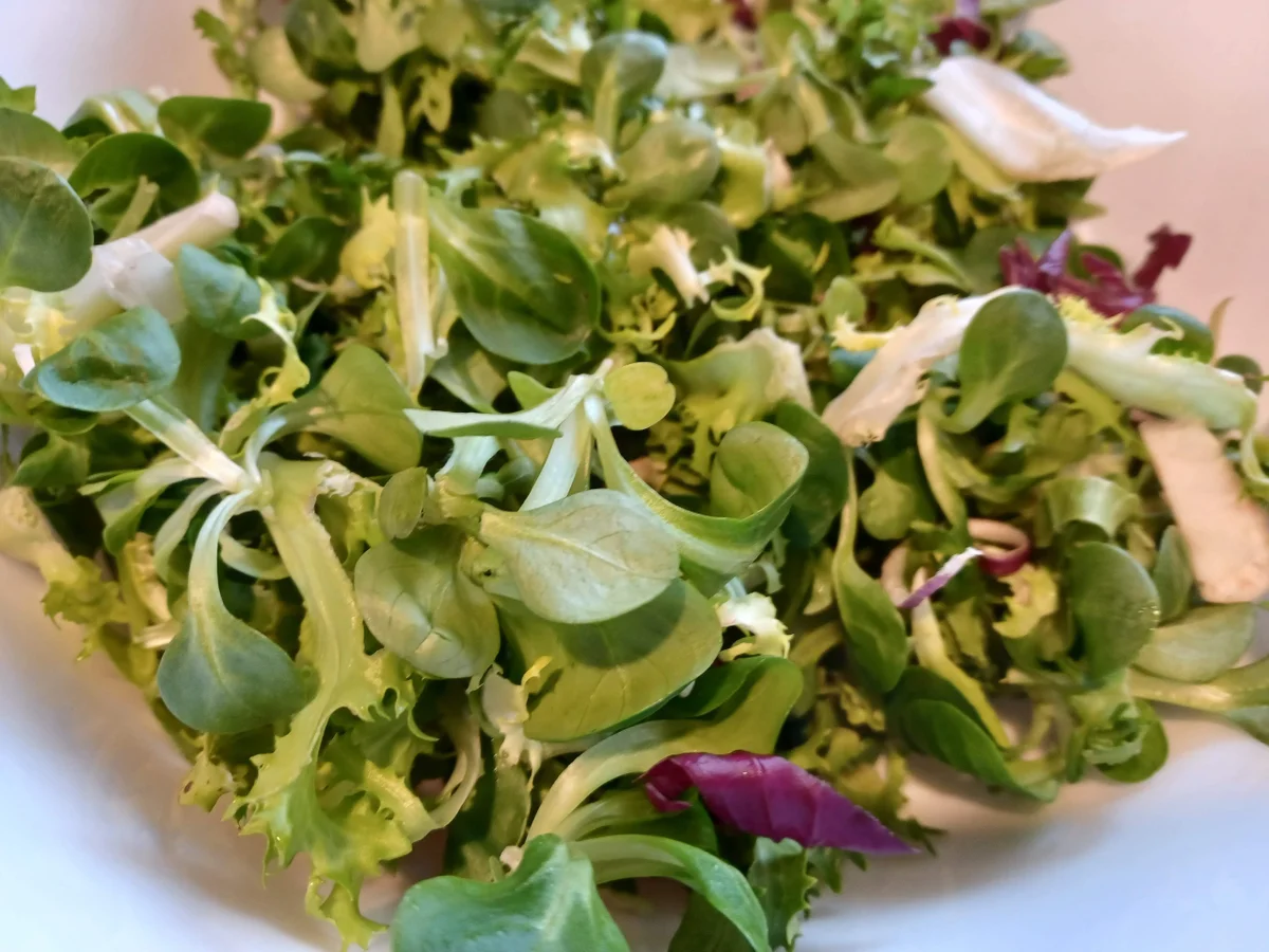 Zwiebel - Sahne - Schnitzel - Rezept - Bild Nr. 15570