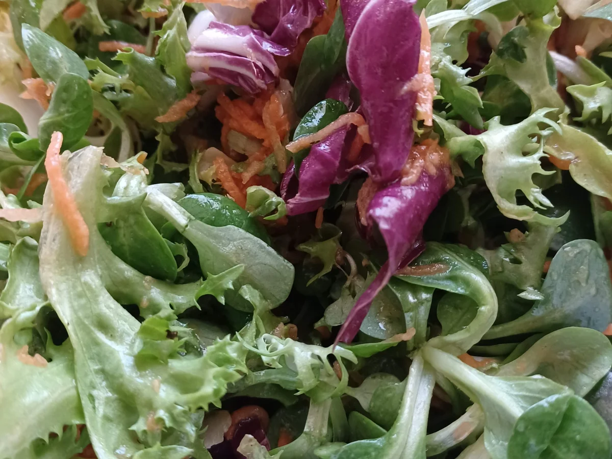 Zwiebel - Sahne - Schnitzel - Rezept - Bild Nr. 15573