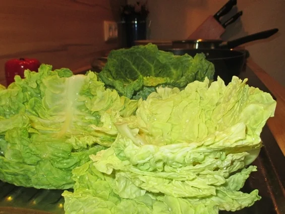 Wirsingrouladen - Rezept - Bild Nr. 15586