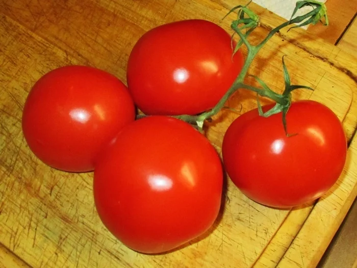 Tomatensuppe italienischer Art - kulinarische Weltreise 03-2022 - Rezept - Bild Nr. 15596