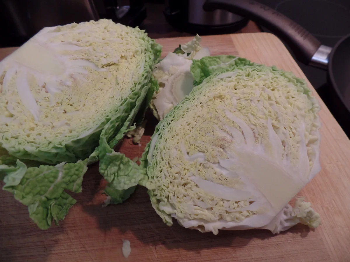 Orecchiette mit Wirsing und Kochschinken - Rezept - Bild Nr. 15629