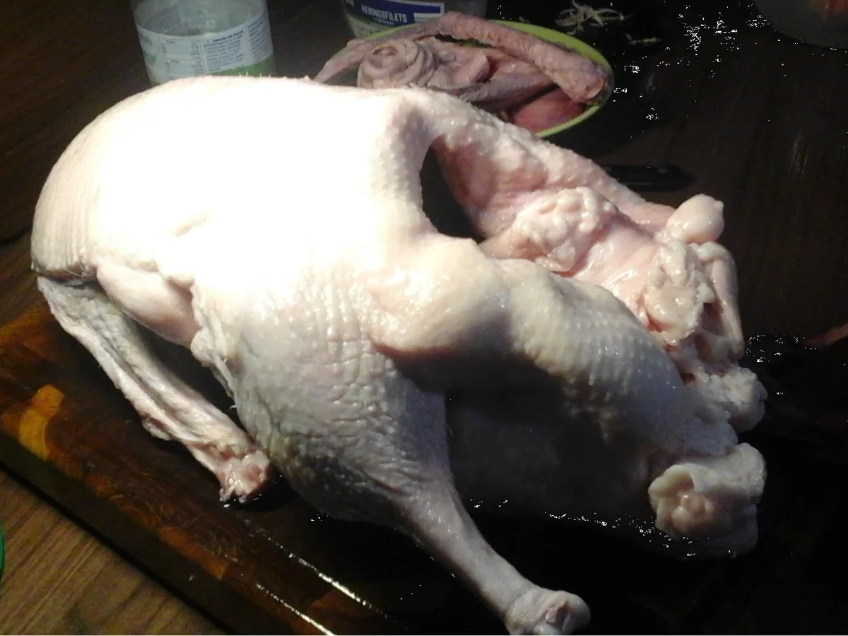 Gans ganz langsam - Rezept - Bild Nr. 15631