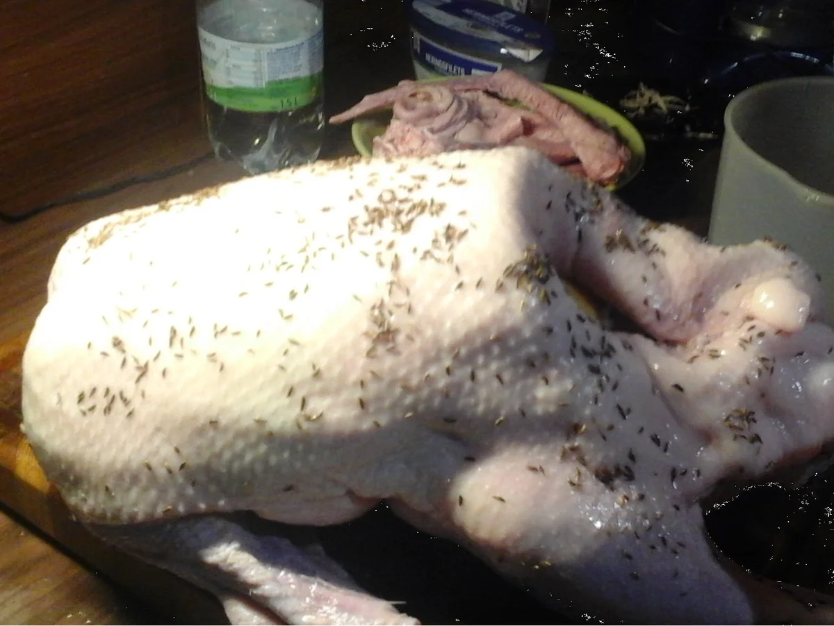 Gans ganz langsam - Rezept - Bild Nr. 15633